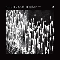 Light In The Dark - SpectraSoul & Terri Walker