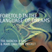 Power Of Vibrations - Natacha Atlas