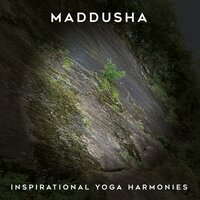 Mitrokin - Maddusha