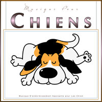 Guitare Calmante pour Chien - Musique Calmante Pour Chiens & Musique D'Endormissement Pour Chiens & Musique pour Chiens