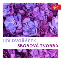 Zpěv o rodné zemi. Čtyři smíšené sbory: II. Allegro - Czech Radio Chorus & Milan Malý