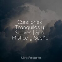 Suave Brisa - Sons da Natureza Relax & Musica Para Relajarse & Sonidos de la Naturaleza Relax
