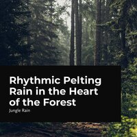 Cloudburst in Rainforest - Jungle Rain