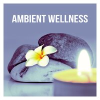 Meditation Spa - Wellness Spa Oasis