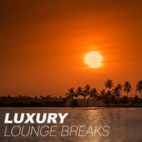 Miami Lounge - Nightlife Music Zone
