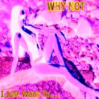 Real Love - Why Not