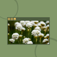 Trio Jazz Soundtrack for Chill Afternoons - Atmospheric Coffee House Music