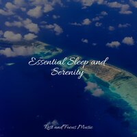 Asleep in the Deep - Meditação Yoga & Chillout Lounge & Classical Lullabies