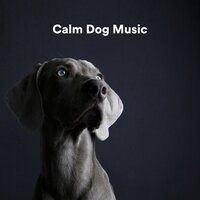 Alpha Centauri - Music for Calming Dogs & Music for Leaving Dogs Home Alone & Sleepy Dogs
