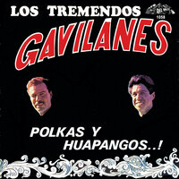 El Pipero - Los Tremendos Gavilanes