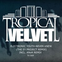 Never Knew - Electronic Youth & ANoR