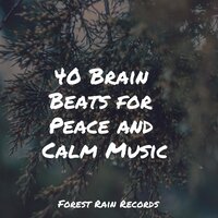 Forest, Wind, Heavy - Winds and Oceans & Academia de Relaxamento e Meditação & Rainy Sounds