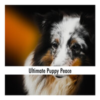 Puppy Snuggle Honest Relaxation - Calming Doggy Sleep