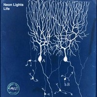 Beautiful - Neon Lights