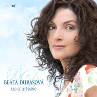 Výlet po nebi - Beáta Dubasová