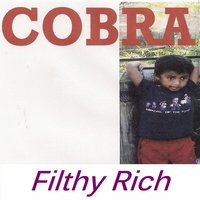 Tha Meanin' of It All - Cobra