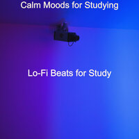 Suave Background for Working at Home - Lo-fi Beats for Study