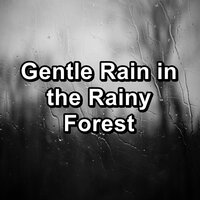 Gentle Rain For Quiet Nights To Help Your Baby Sleep - Deep Sleep Music Experience & Baby Sleep Music & Sleep Tribe