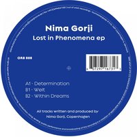 Within Dreams - Nima Gorji