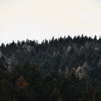 White Noise Drip Drop Rains - Naturaleza Sonidos & Tranquil Music Sound Of Nature & Rain Forest FX