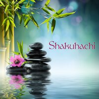 Mindfulness Harmony - Shakuhachi Sakano