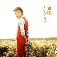 乱红尘 - 白峰