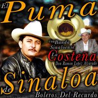 Canción de amor - El Puma De Sinalóa