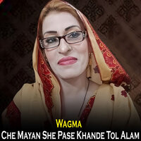 Zan Me Kha Sengar Kro - Wagma