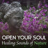 Best Sleep AID - Nature Meditation Academy
