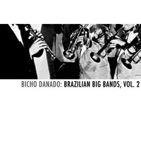 Brasileirinho - Chiquinho