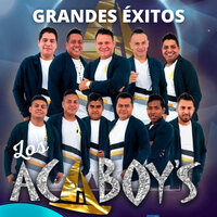 Como Me Gusta la Noche - Los Acaboy's