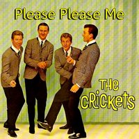 Right or Wrong - The Crickets