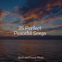 Inner Peace - Musica Reiki & Meditation Music Club & White Noise Relaxation