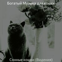 Моменты (Кошки) - Богатый Музыка для кошек