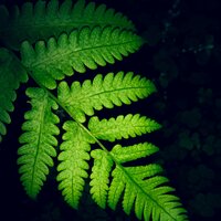 Pleasure Waves - Exam Study Classical Music Orchestra & Meditation Music Experience & Meditação Maestro