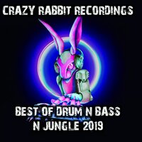 Flying Dub - TK Spire & DJ Purple Rabbit