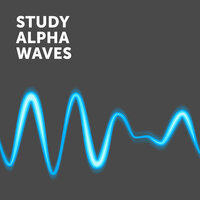 Brainwave Music - Sleep Music & Sleeping Music For Dogs & Sleeping Music