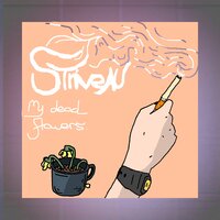Sorry for Everything I Did Wrong - StriveAU