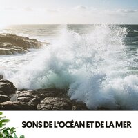 Heilende Schwingungen - Dog Relaxation & Ocean Sounds Plus & Travail Bureau France