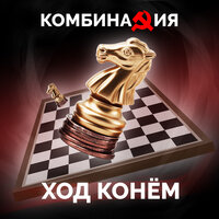 Где-то во тьму таракани - Комбинация