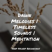 Silk on Water - Chillout Lounge & Tinnitus Aid & Massage Therapy Music