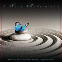 Calm Music for Peaceful Meditation - Meditation Music Playlist & Meditation Music Collective & Meditation Bliss