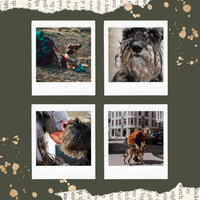 Bubbly (Happy Dog Walks) - Musica Relajante para Perros Momentos