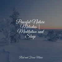 Morning Meditation Melody - Academia de Meditação Buddha & Massage Music & Rising Higher Meditation
