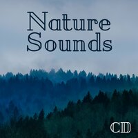 Self Hypnosis - Nature Sounds Associated Artists