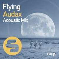 Flying - Audax