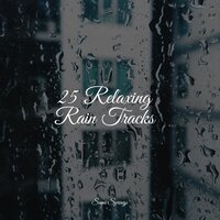 Stream, Water, Close - Regen zum Schlafen & Rainfall For Sleep & Rain Man Sounds