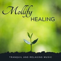 Birha - The Pain of Being Away - Yogsutra Relaxation Co