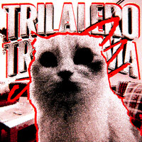 TRILALERO TRALALIMA FUNK - DJ MRW & DJ FANGZ & DJ ANYZZ