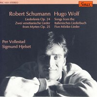 Abschied - Per Vollestad & Sigmund Hjelset & Хуго Вольф